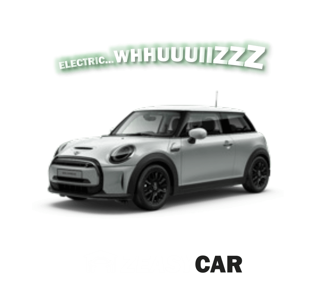 zeasycar electric